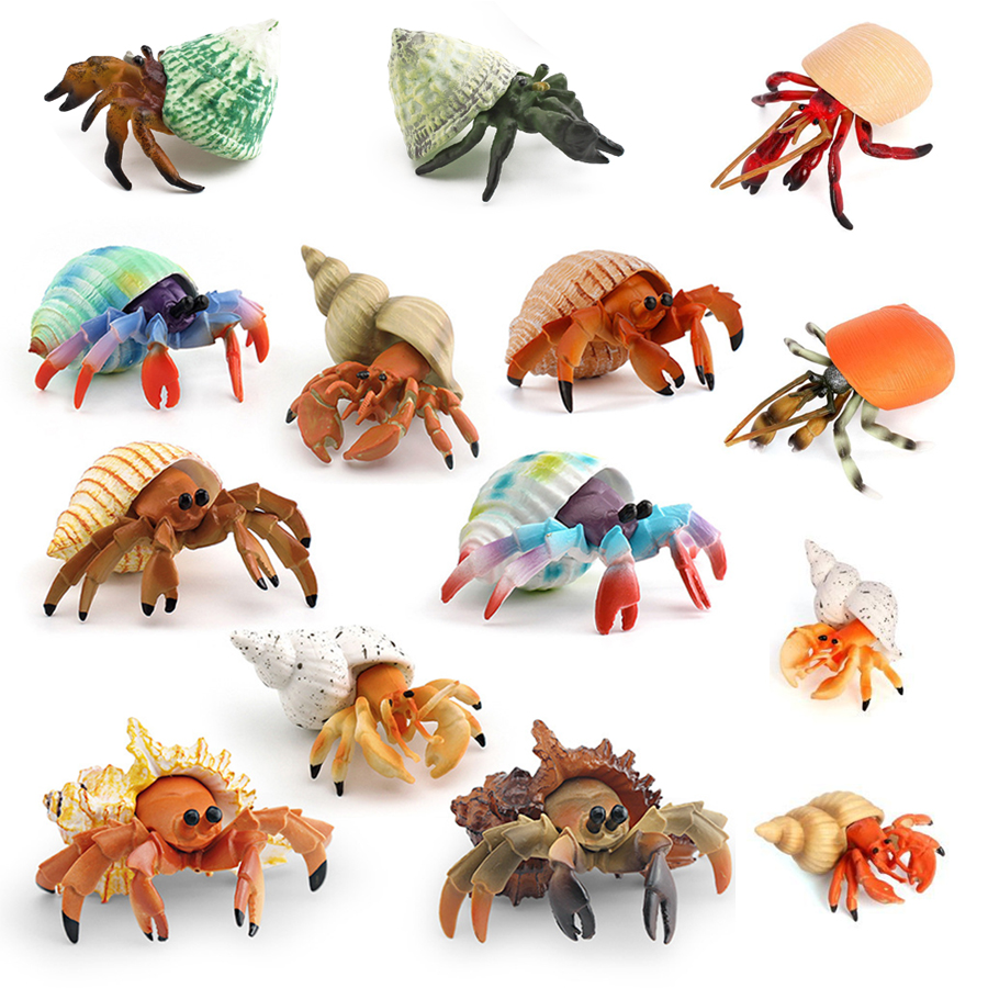 Kids Toys 3 Year Old - Realistische Hermitkrabben-Figur, langlebiges PVC-Meereslebewesen-Tiermodell, pädagogisches Spielzeug